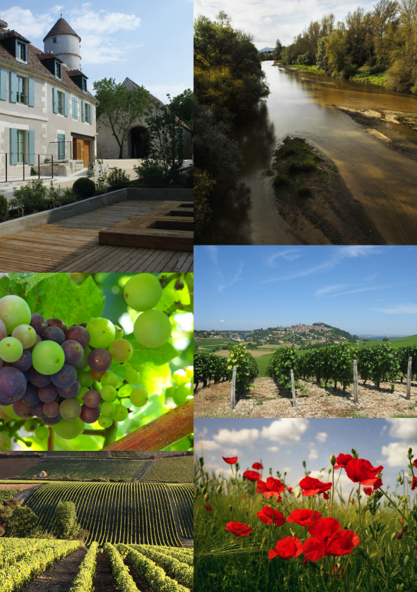 IMAGE-LOCALISATION-TEMP